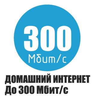Максимальный-300 - фото - 5